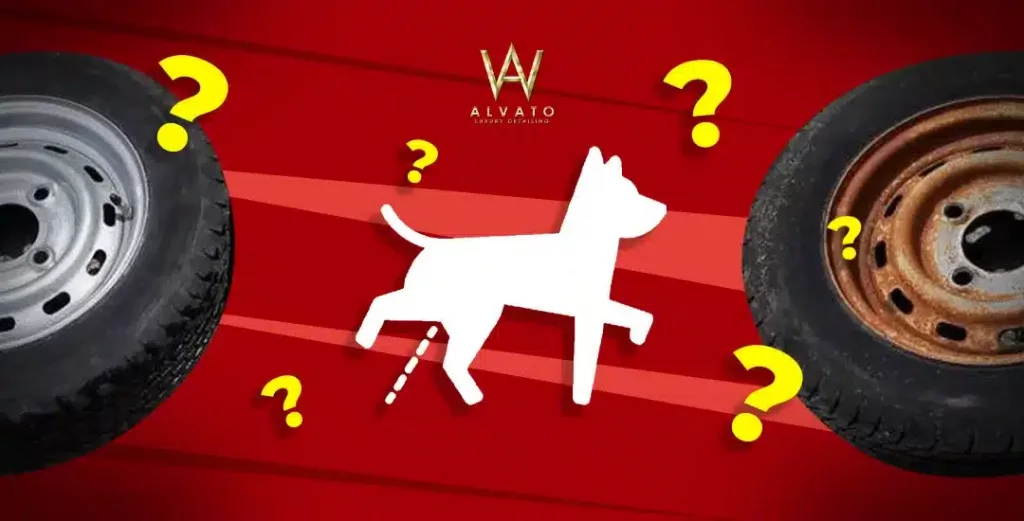 ¿Puede el pipi de perro dañar las ruedas de los coches?